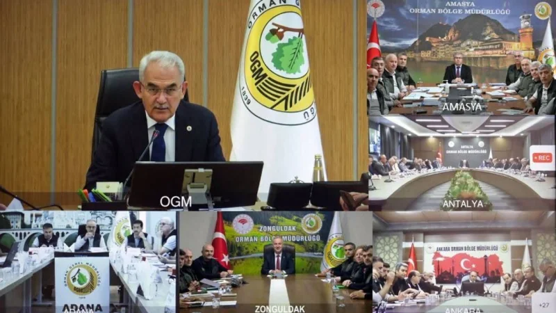 Amasya Ormanlarının Durumu Karacabey'e Aktarıldı
