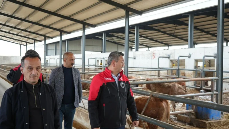 Suluova Besi OSB'de Üreticilerle Kritik Buluşma